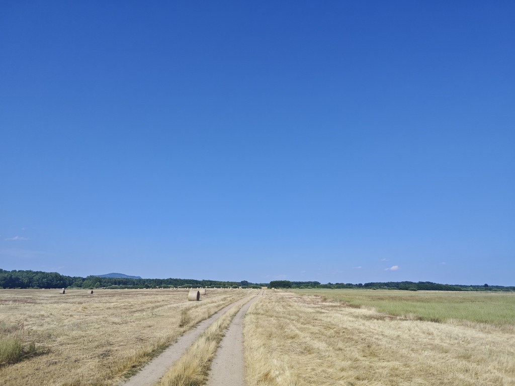 beillesztett kép