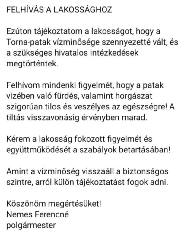 beillesztett kép
