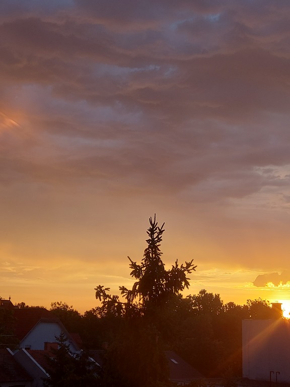 beillesztett kép