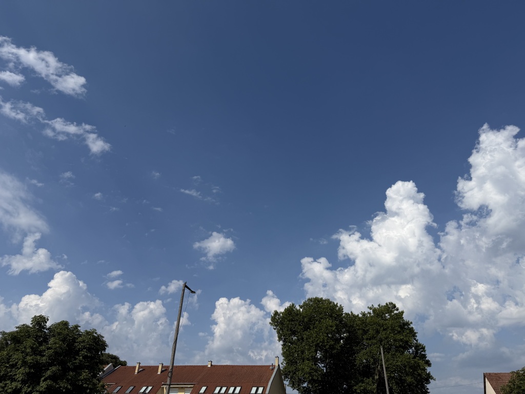 beillesztett kép