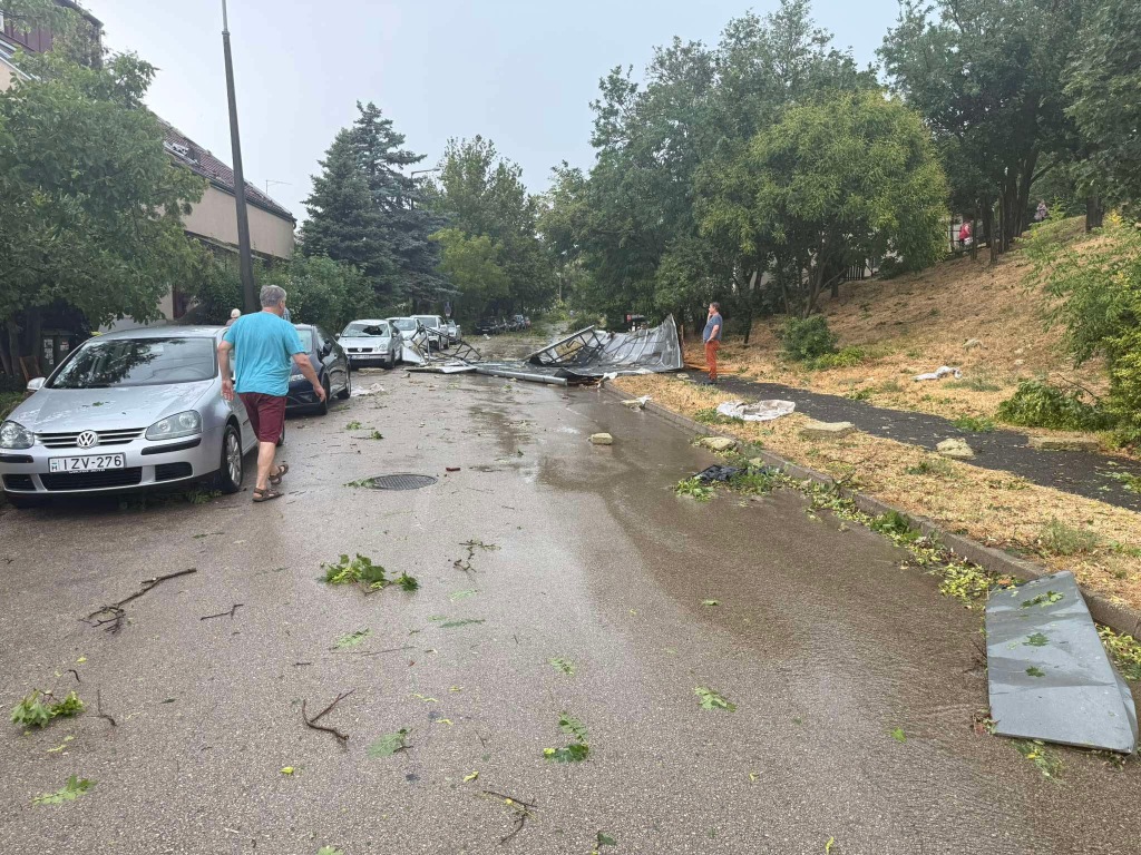 beillesztett kép