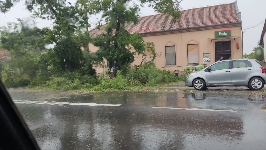 beillesztett kép