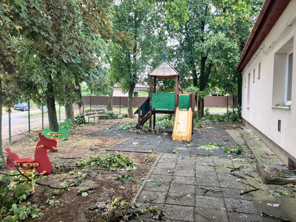 beillesztett kép
