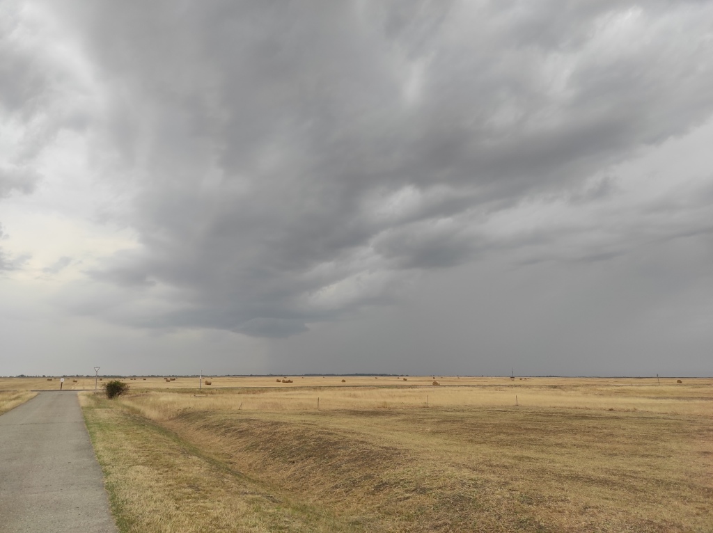 beillesztett kép