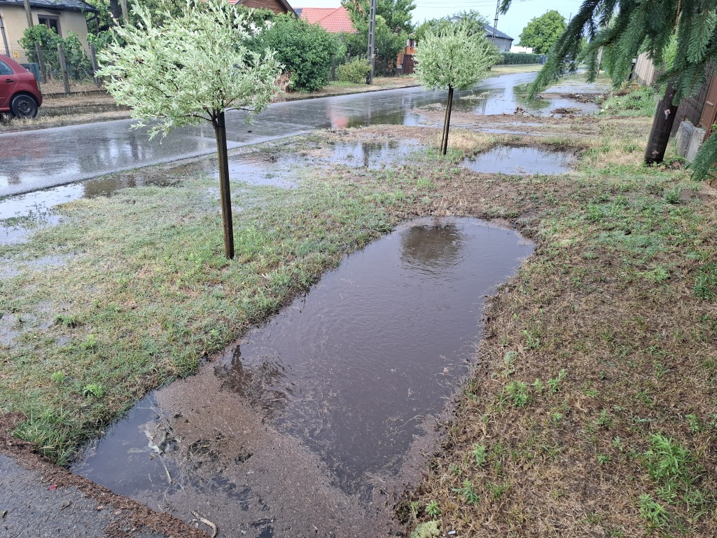 beillesztett kép