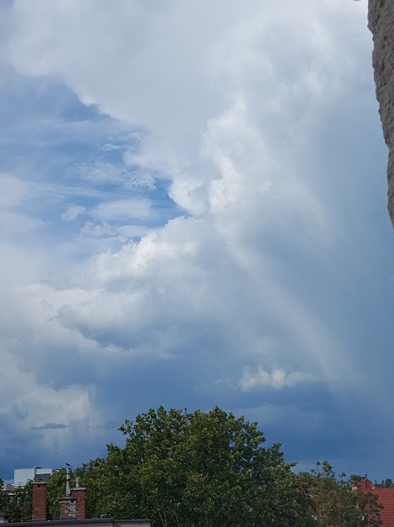 beillesztett kép