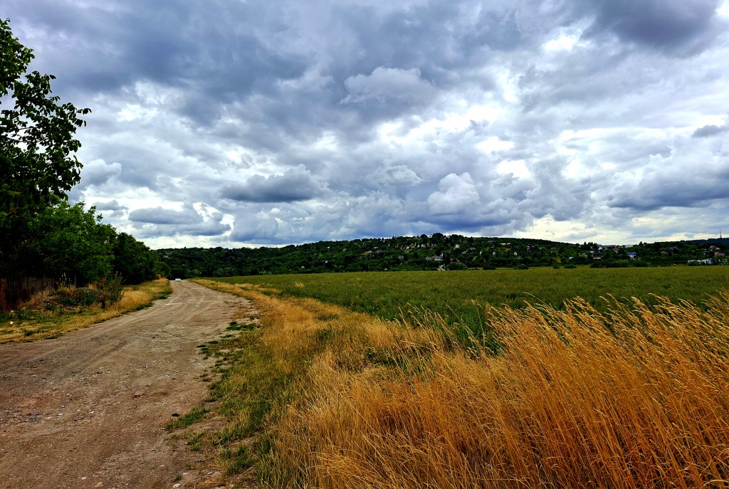 beillesztett kép