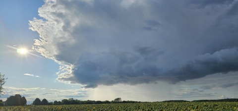 pic