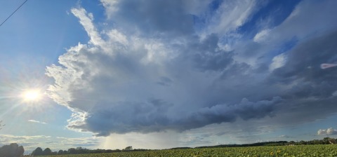 pic
