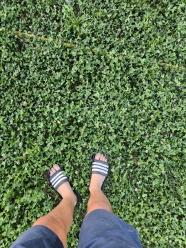pic