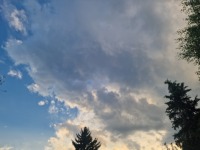 pic