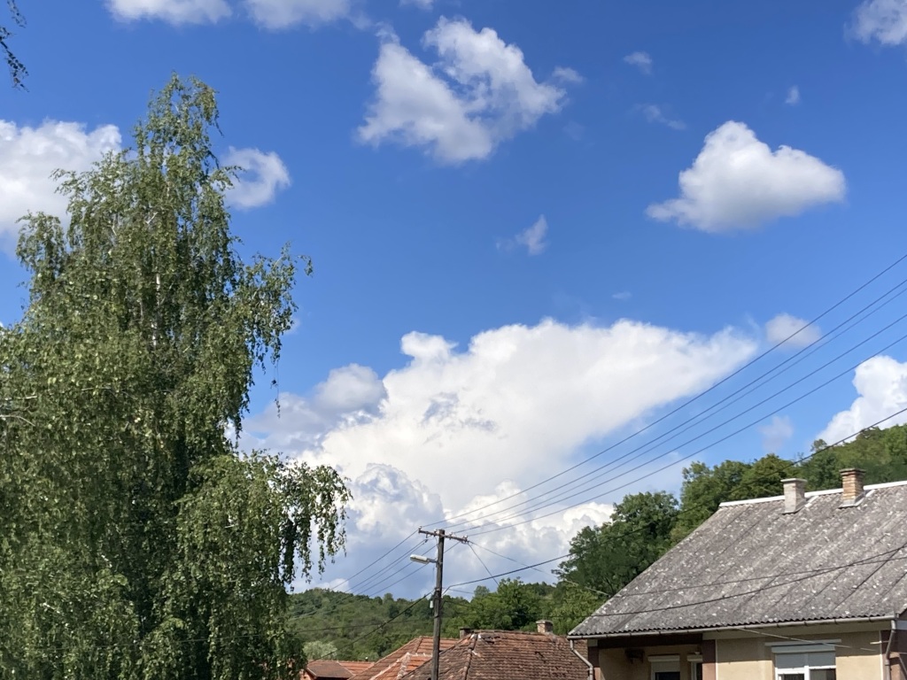 beillesztett kép