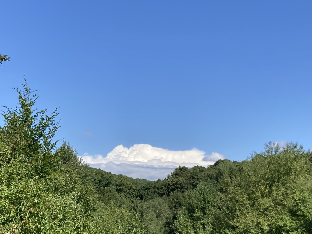 beillesztett kép