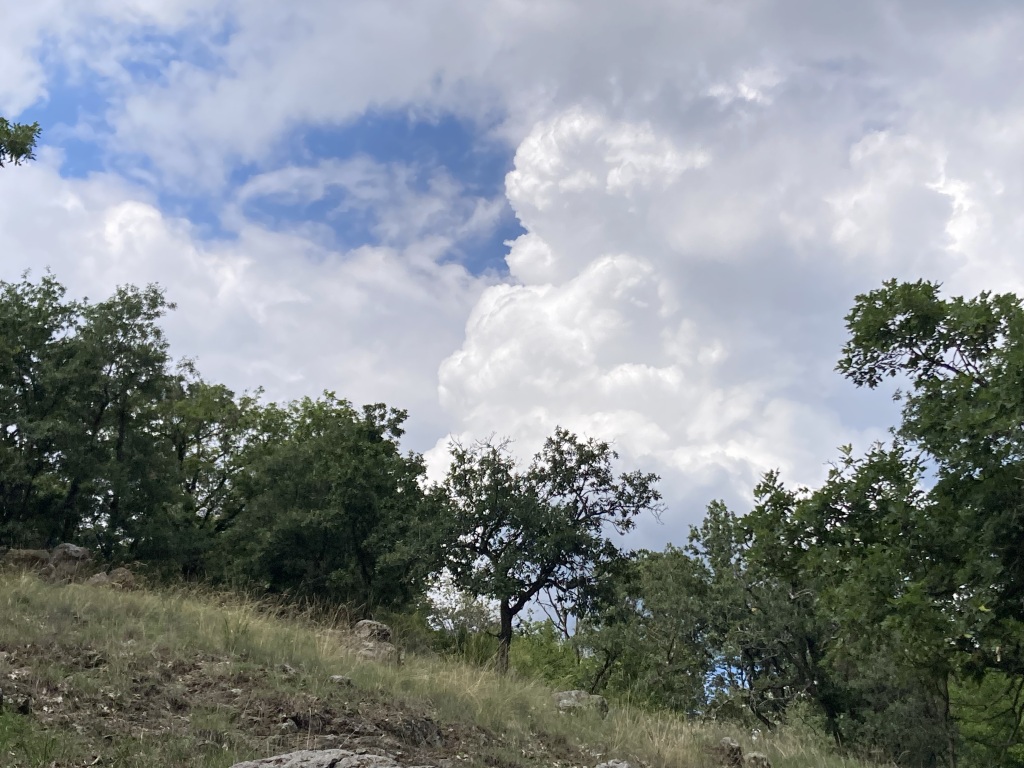 beillesztett kép