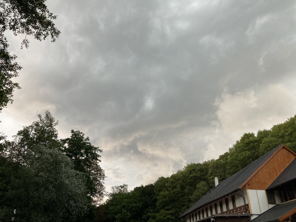 beillesztett kép