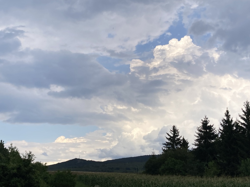 beillesztett kép