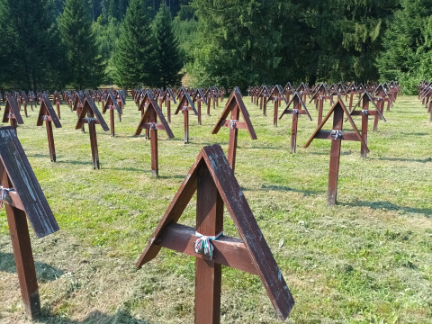 pic
