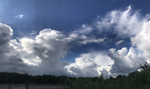 pic