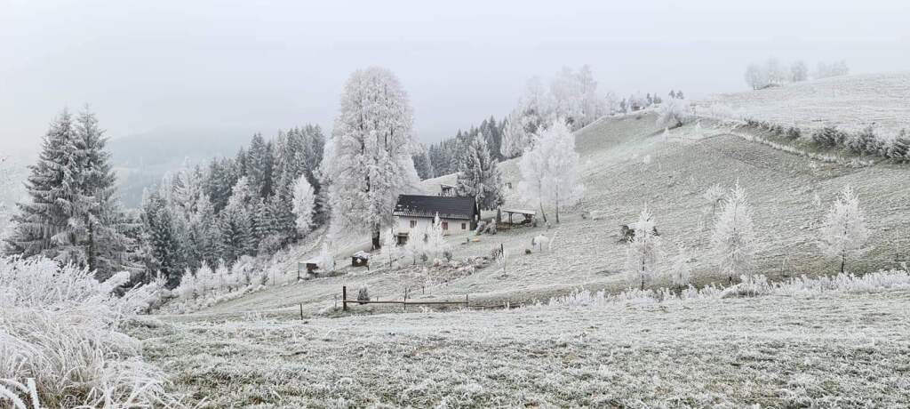 beillesztett kép