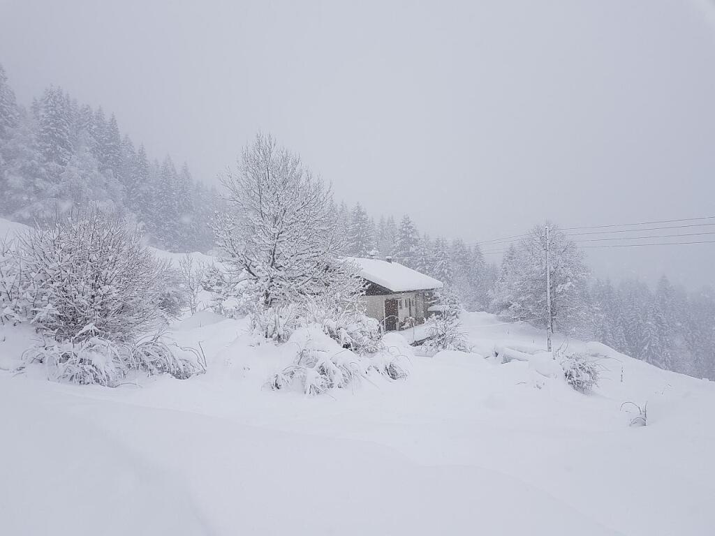 beillesztett kép