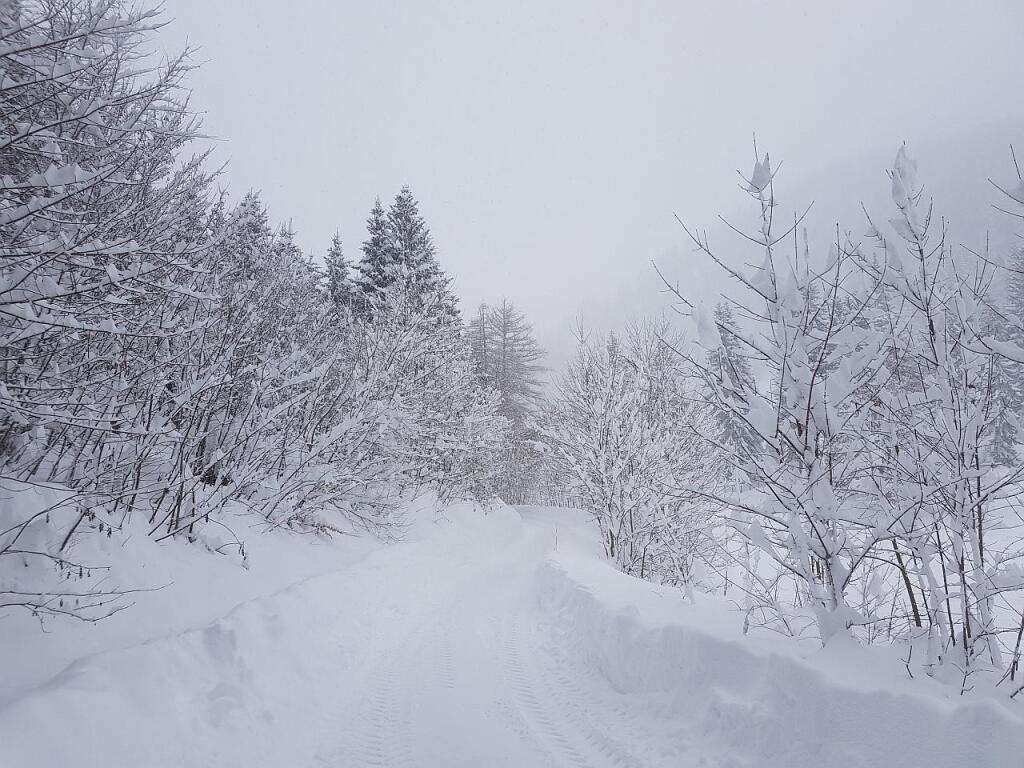 beillesztett kép