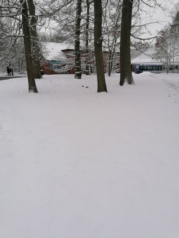 beillesztett kép