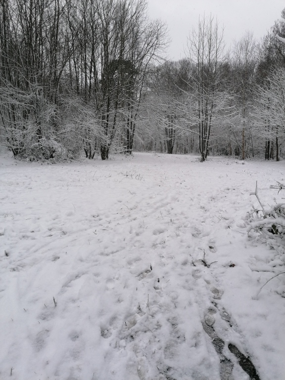 beillesztett kép