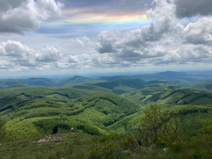 beillesztett kép