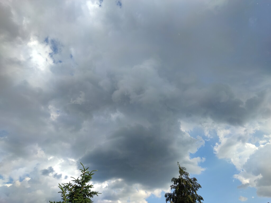 beillesztett kép