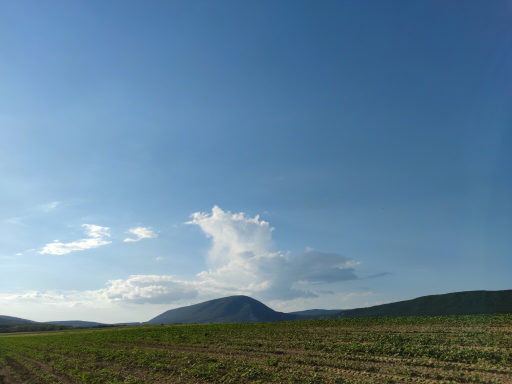 beillesztett kép