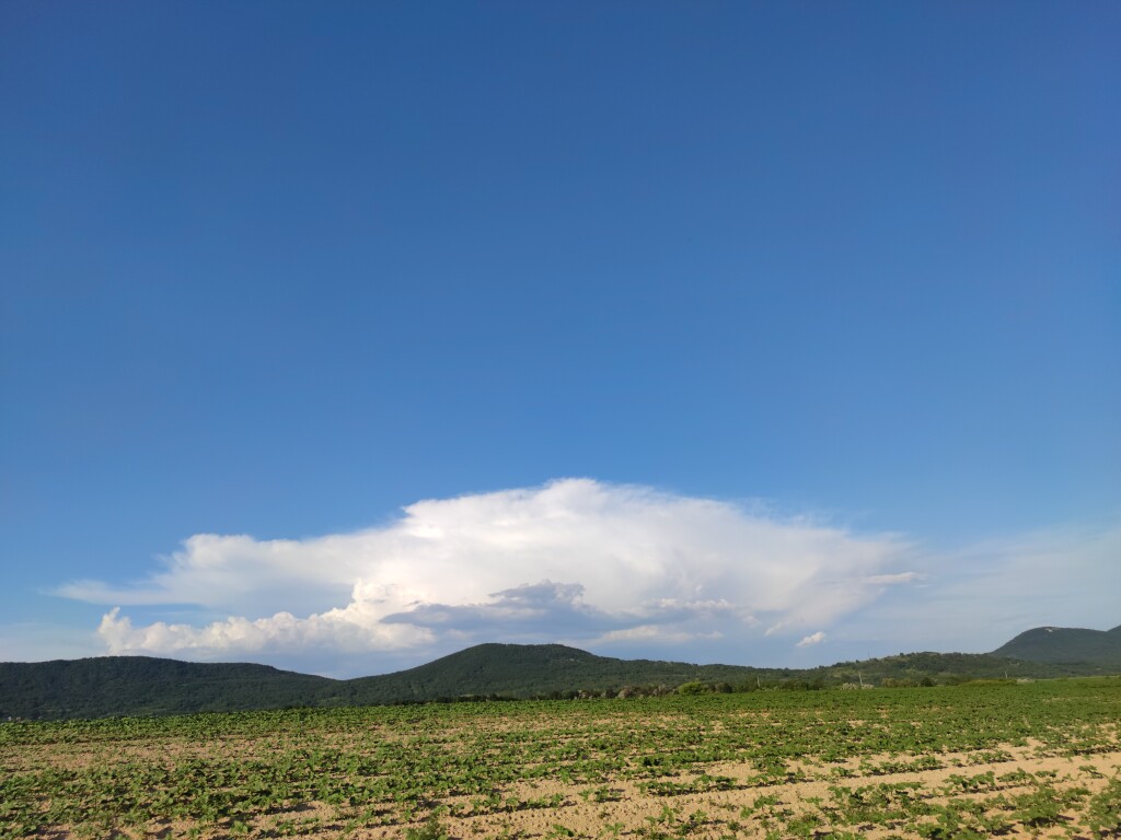 beillesztett kép