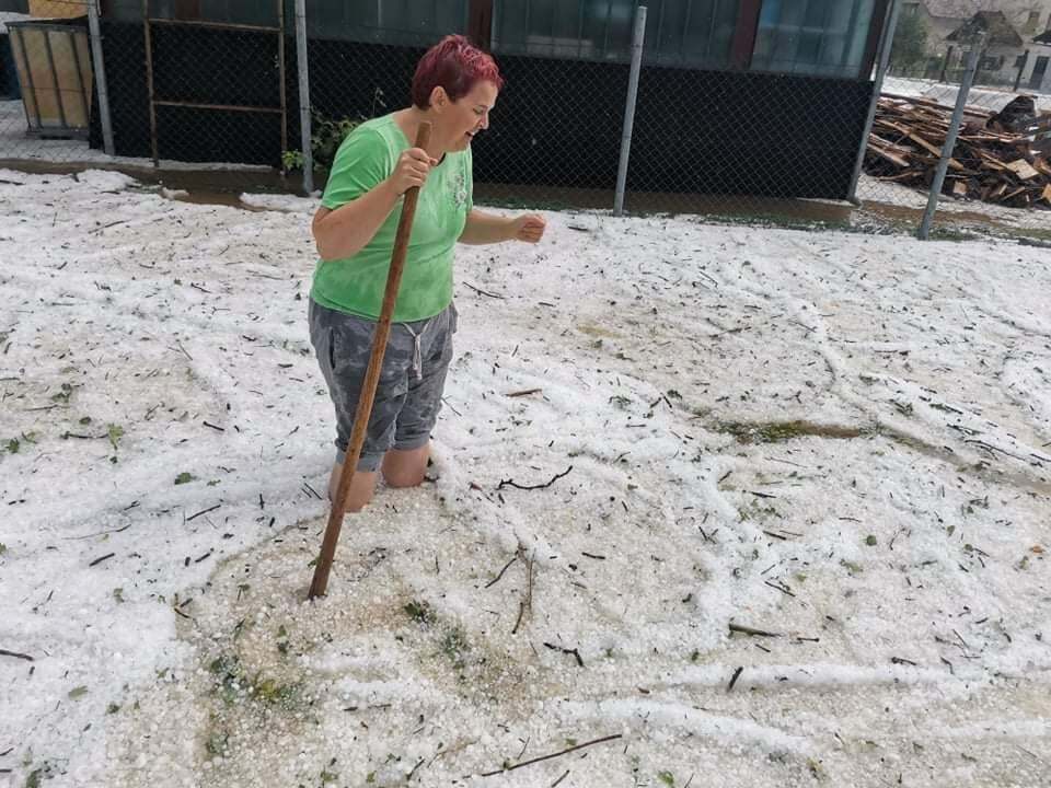beillesztett kép