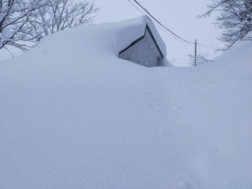 beillesztett kép