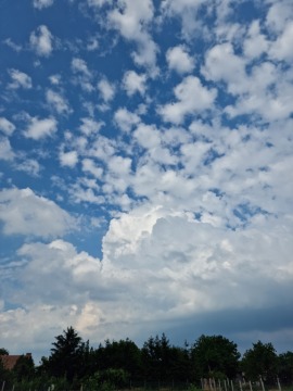pic